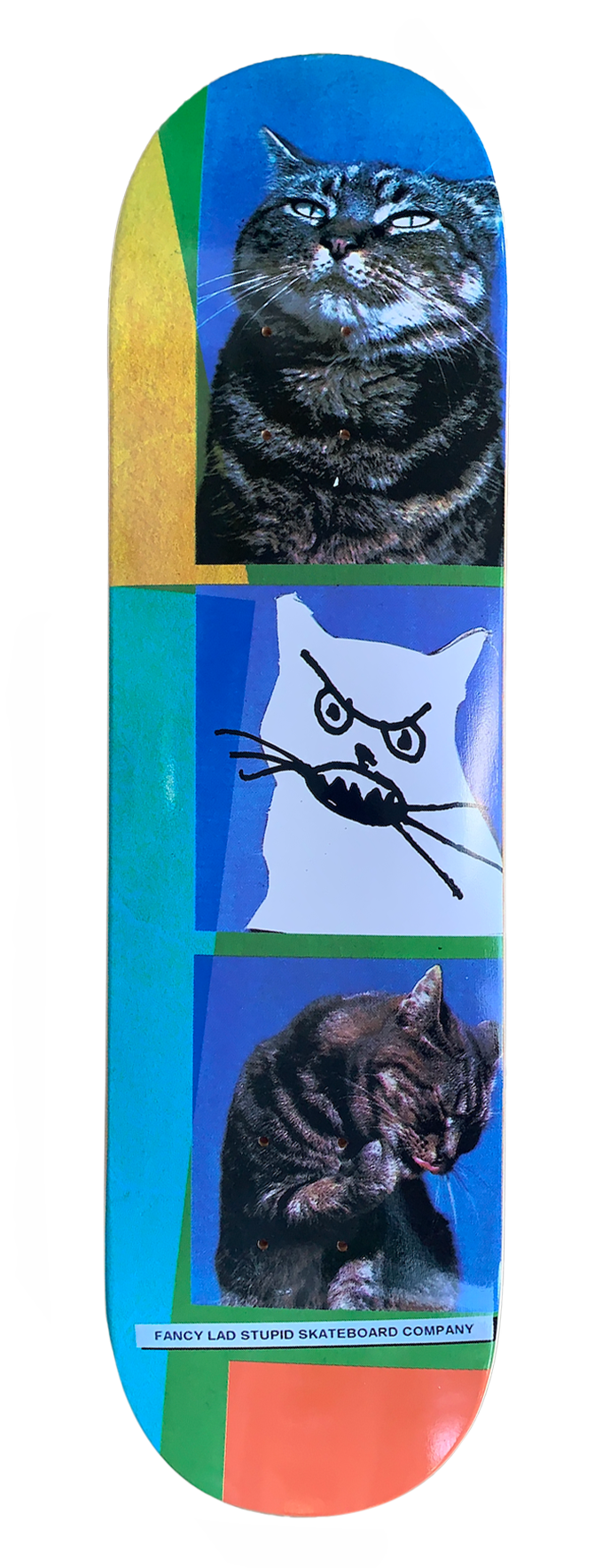 CAT FACES team board 8.25